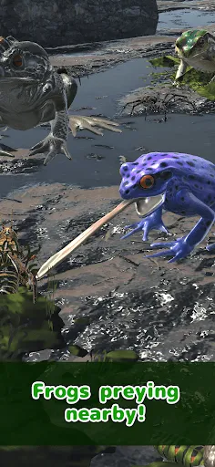 Frog Friends | 游戏 | XWorld