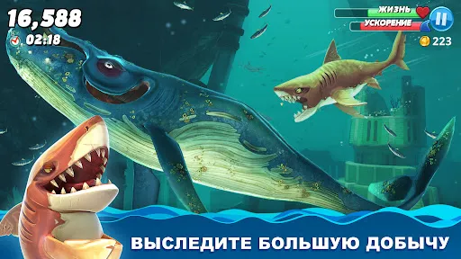 Hungry Shark World | Игры | XWorld