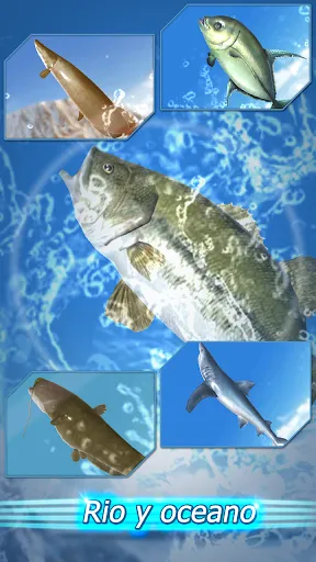 Temporada de Pesca | juego | XWorld