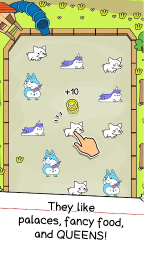 Corgi Evolution: Shiba Dogs | Jogos | XWorld