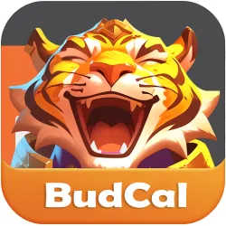 XWorld | BudCal - Budget Calculator