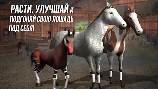 Photo Finish Horse Racing | Игры | XWorld Photo Finish Horse Racing | Игры | XWorld