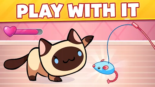 Cat Game - The Cats Collector! | Games | XWorld