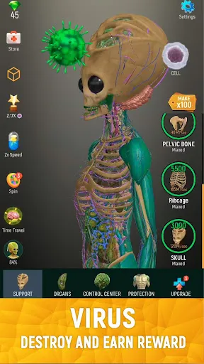 Idle Human | Games | XWorld
