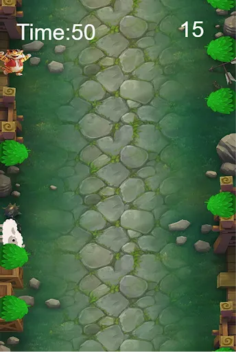 Wild Tiger Rush | Jogos | XWorld