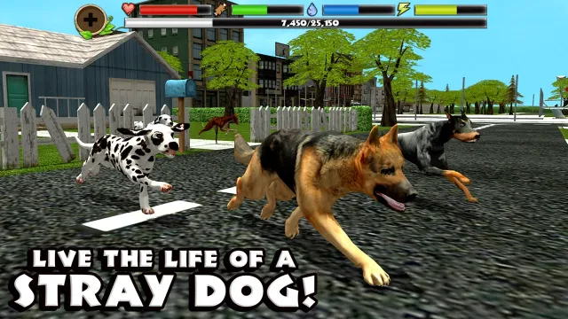 Stray Dog Simulator | 游戏 | XWorld