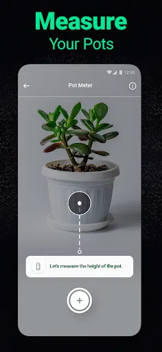 Plantum - Plant Identifier | 游戏 | XWorld