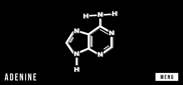 RNA Translation | juego | XWorld