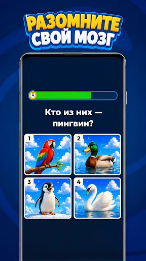 Guess The Answer: Викторина | Игры | XWorld