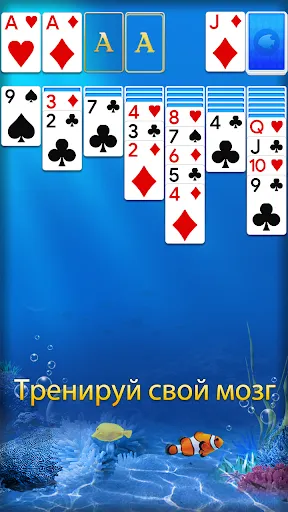 Пасьянс 3D - Карточные игры | Игры | XWorld Пасьянс 3D - Карточные игры | Игры | XWorld