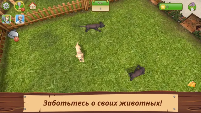 Pet World Премиум | Игры | XWorld