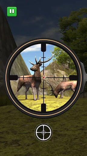 Animal Hunting Bow Shooting 3D | juego | XWorld