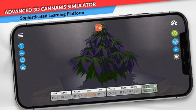 simLeaf | เกม | XWorld