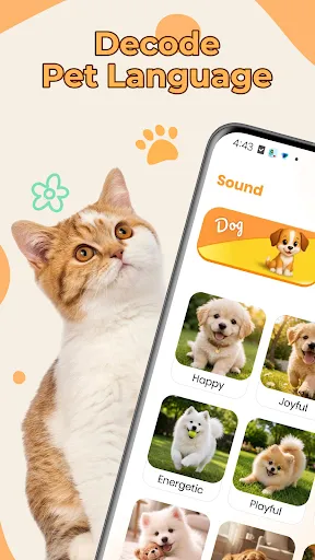 Cat Translator, Dog Translator | Games | XWorld Cat Translator, Dog Translator | Games | XWorld