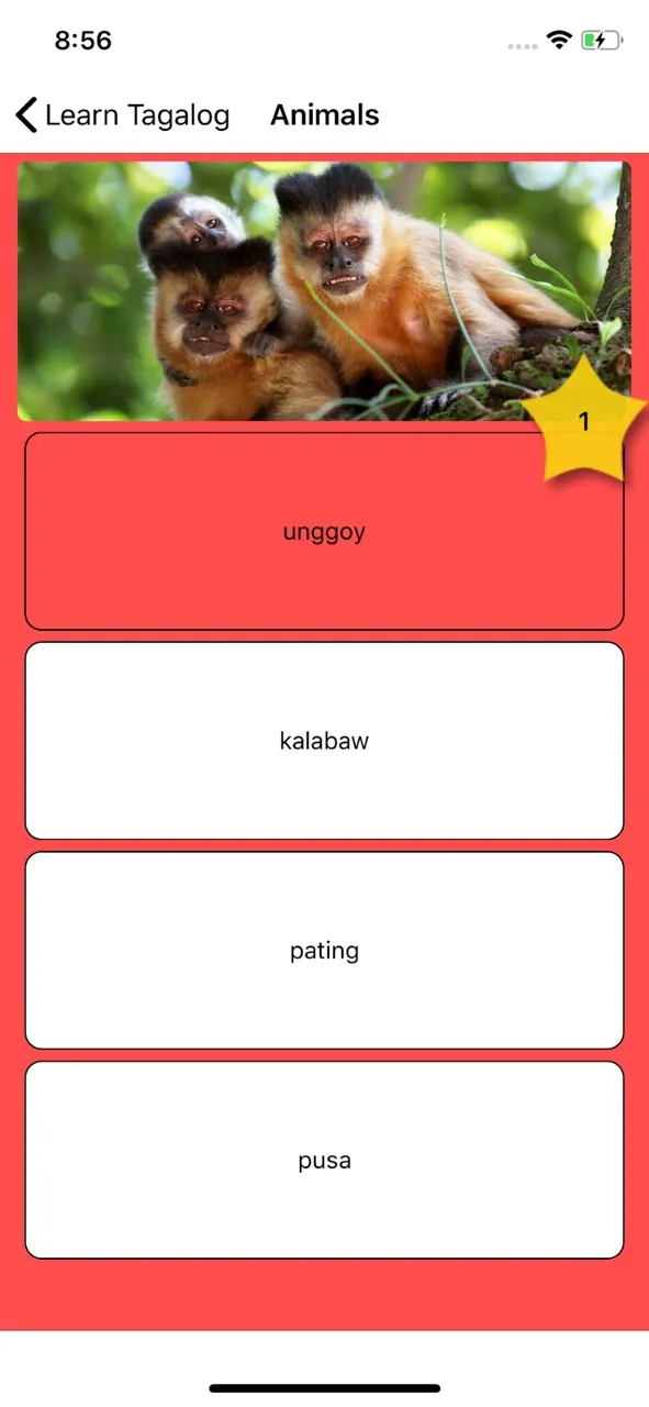 Learn Tagalog - Flashcards | เกม | XWorld