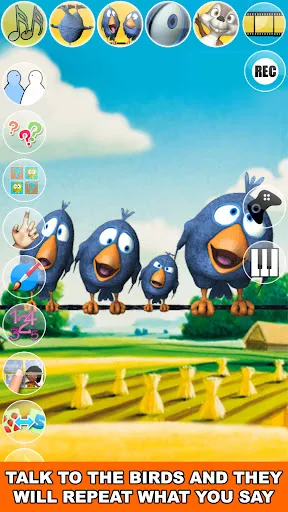 Talking Birds On A Wire | Games | XWorld Talking Birds On A Wire | Games | XWorld