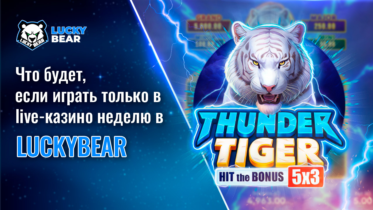 Что будет, если играть только в live-казино неделю в LuckyBear