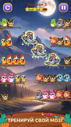 Сортировка Птиц 3: Головоломка | Игры | XWorld