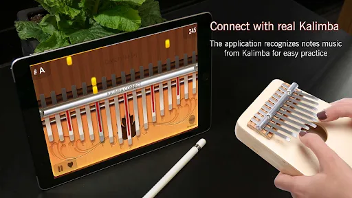 Kalimba Connect | Games | XWorld