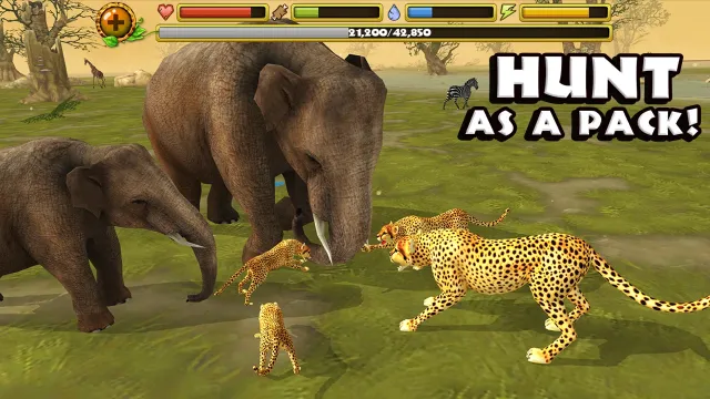 Cheetah Simulator | Jogos | XWorld