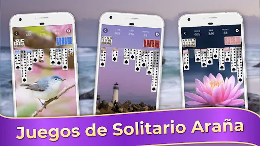 Spider Solitaire, Solitario | juego | XWorld