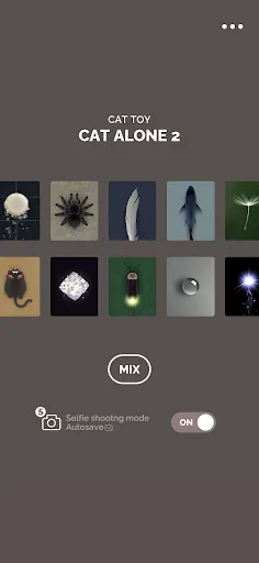 CAT ALONE 2 - Cat Toy | Jogos | XWorld