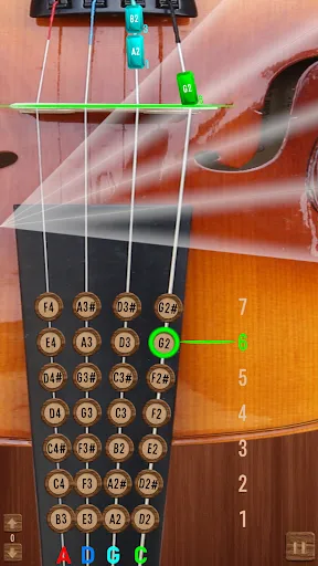 Cello Real | Games | XWorld