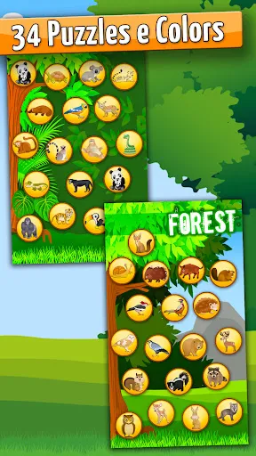 Forest - Kids Coloring Puzzles | Games | XWorld