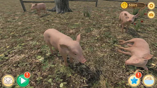 Piglet | Игры | XWorld