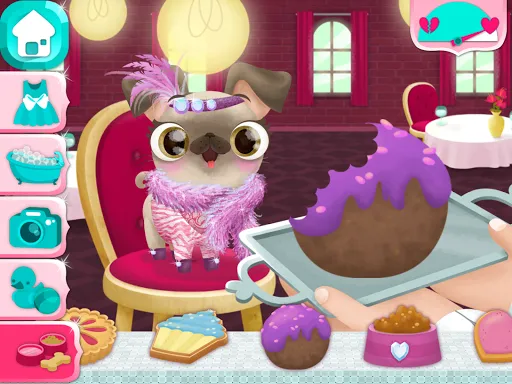 Miss Hollywood - Fashion Pets | Games | XWorld