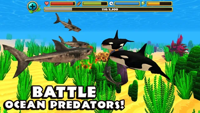 Wildlife Simulator: Shark | Игры | XWorld