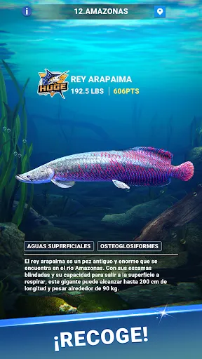 Fishing Travel | juego | XWorld