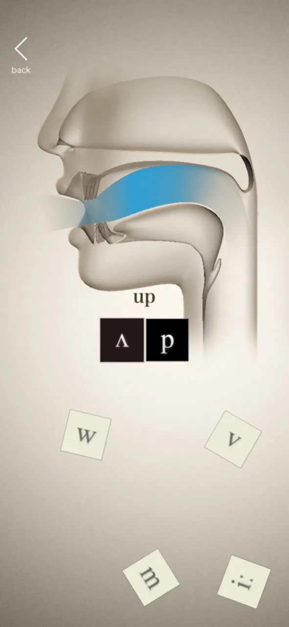 Phonetic Cards | 游戏 | XWorld