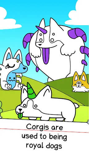 Corgi Evolution: Shiba Dogs | Jogos | XWorld