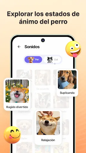 Human to Dog Translator | juego | XWorld