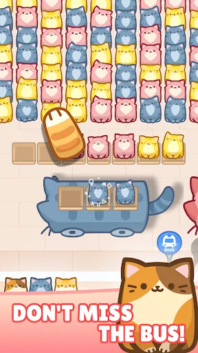 Box Cat Jam : Block Match | 游戏 | XWorld