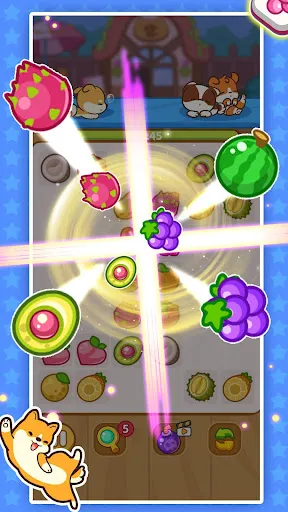 Fruit Connect Match Puzzle | เกม | XWorld