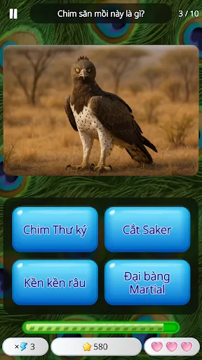 Đoán Con Vật: Trò Chơi Đố | Games | XWorld