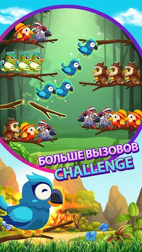 Сортировка птиц 2 | Игры | XWorld