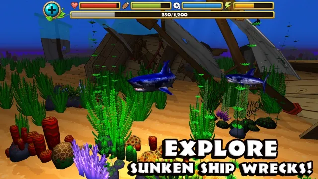 Wildlife Simulator: Shark | Игры | XWorld