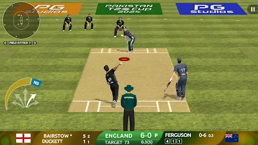 Pakistan Legends: Cricket Game | 游戏 | XWorld