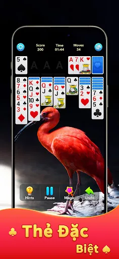 Game đánh bài (Solitaire) | Games | XWorld
