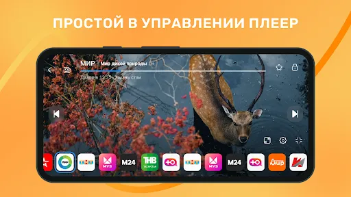 Лайт HD TV: онлайн тв каналы | Игры | XWorld