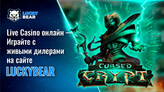 Live Casino онлайн — Играйте с живыми дилерами на сайте LuckyBear