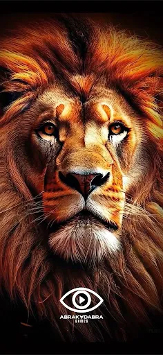 Aslanlar Ligi | 游戏 | XWorld