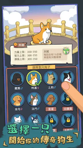 狗生模擬器 | Permainan | XWorld