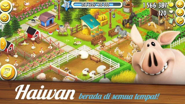 Hay Day | Permainan | XWorld