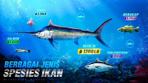 Fishing Master | Permainan | XWorld