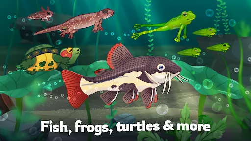 Pondlife — Fish, Frogs & More! | Games | XWorld Pondlife — Fish, Frogs & More! | Games | XWorld