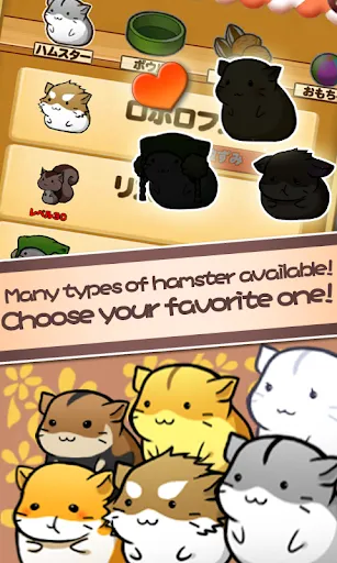 Hamster Life | เกม | XWorld